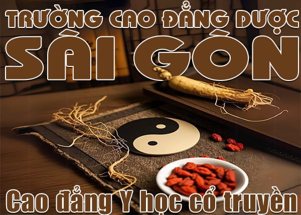 Top 5 Trường Cao đẳng Y học cổ truyền Việt Nam đào tạo chất lượng tốt