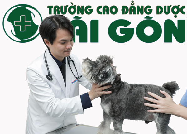 Những điều thú vị về nghề Cử nhân Cao đẳng ngành Thú Y