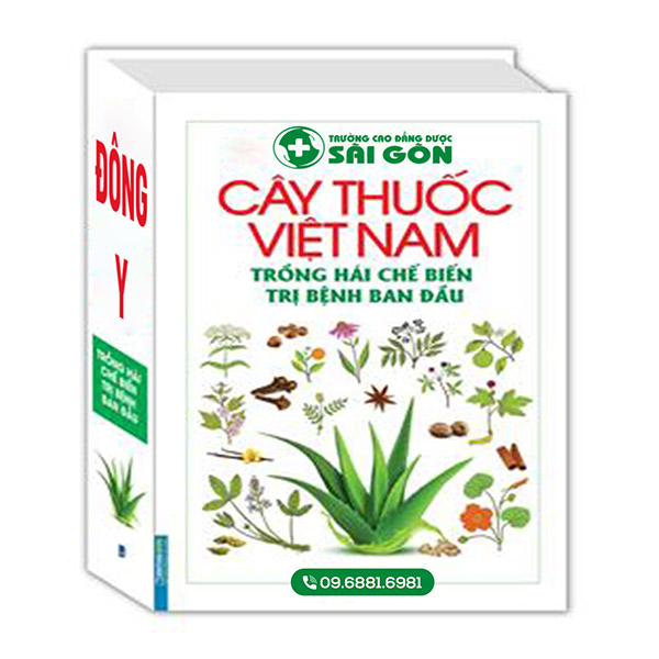 Giảo cổ lam - vị thuốc vàng trong dân gian Việt Nam