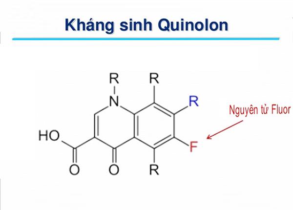 Dược sĩ Sài Gòn chia sẻ những điều bạn cần biết về kháng sinh Quinolon