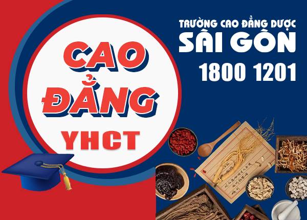Lá húng chanh dược liệu quý trị bệnh chăm sóc và tăng cường sức khỏe