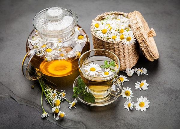 Y sĩ YHCT chia sẻ những tác dụng của trà hoa cúc đối với sức khỏe