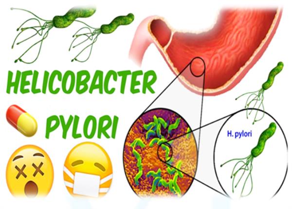 Bác sĩ Trường Dược Sài Gòn chia sẻ cách phòng tránh vi khuẩn HP