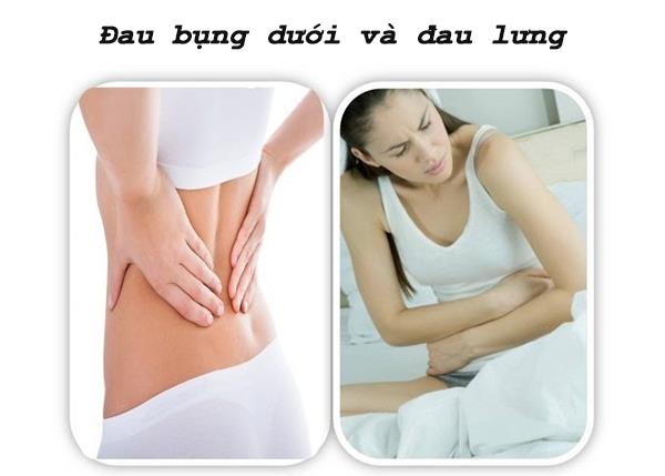 Đau bụng dưới và đau lưng dấu hiệu mang thai và những bệnh lý nguy hiểm