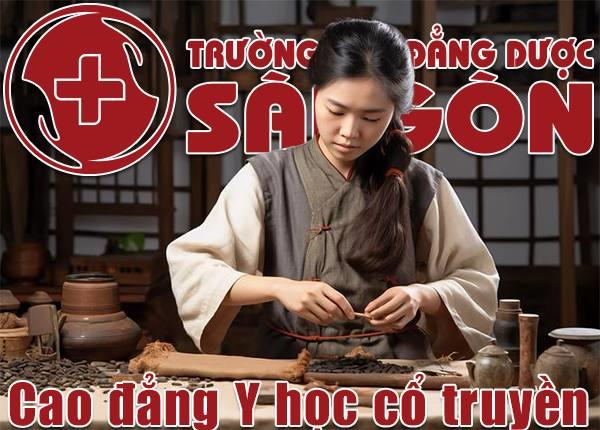 Học Cao đẳng ngành Y học cổ truyền có được liên thông Đại học Bác sĩ YHCT không?