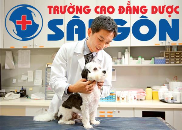 Hướng dẫn về hồ sơ đăng ký cấp chứng chỉ hành nghề Thú Y