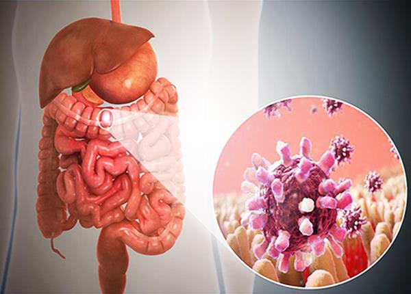 Những lưu ý về bệnh viêm dạ dày ruột do Virus