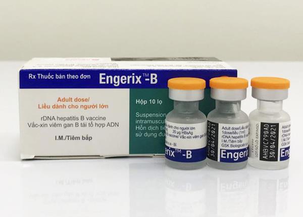 Tìm hiểu về vaccin Engerix-B từ Bác sĩ Trường Dược Sài Gòn